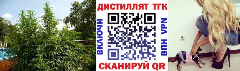 ТГК гашишное масло  купить закладку  Чехов 