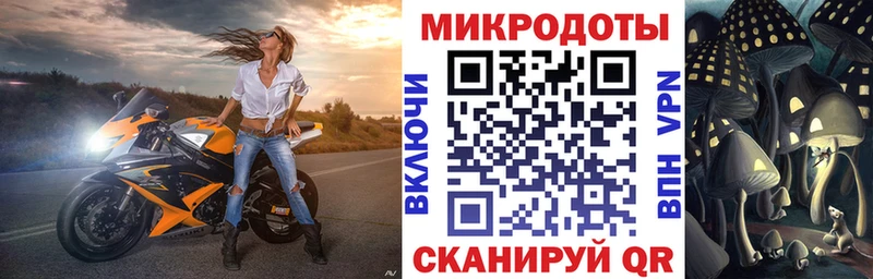 где купить наркоту  Чехов  Псилоцибиновые грибы Psilocybine cubensis 